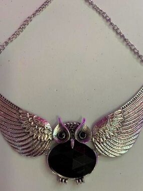 Large Silver Tone Owl Necklace with Black Faceted Center (Z-6)